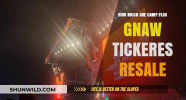 Camp Flog Gnaw Resale Ticket Prices: What to Expect