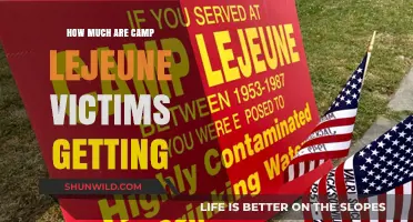 Camp Lejeune Victims' Compensation: Understanding the Settlement Amounts
