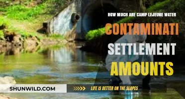 Camp Lejeune Water Contamination Settlements: Understanding the Compensation Amounts