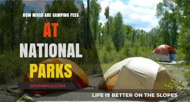 Camping Fees at National Parks: What to Expect and Budget For
