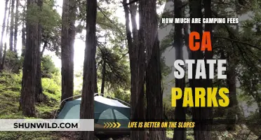 California State Parks Camping Fees: What to Expect and How to Plan