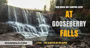 Discover Gooseberry Falls Camping Costs: Affordable Outdoor Adventure Awaits