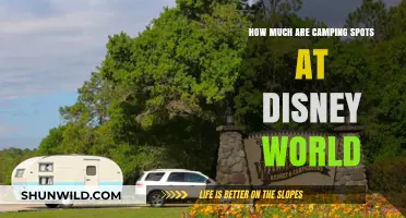 Disney World Camping Costs: Affordable Stays at the Happiest Place