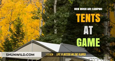 Affordable Camping Tents at Game: Prices and Best Deals