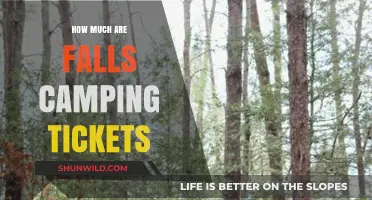 Discover Falls Camping Ticket Prices: Your Ultimate Festival Budget Guide