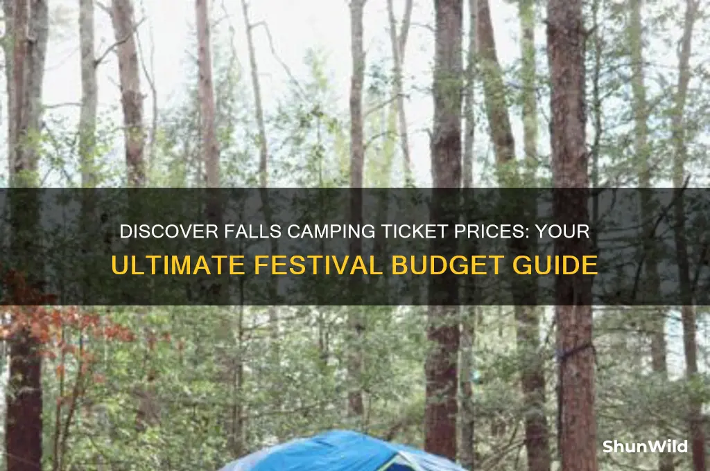 how much are falls camping tickets