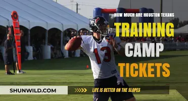 Houston Texans Training Camp Tickets: Prices and Availability Guide