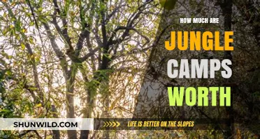 Valuing Jungle Camps: Assessing Their Worth and Investment Potential