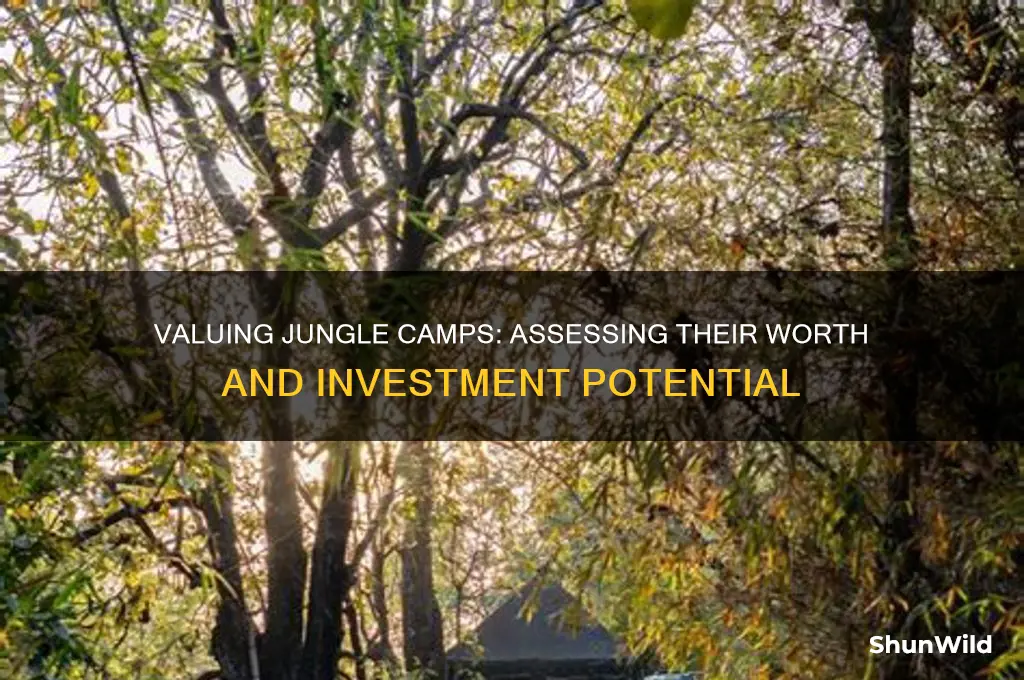 how much are jungle camps worth