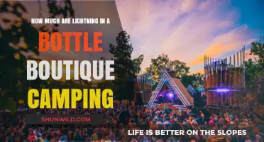 Lightning in a Bottle Boutique Camping Costs: What to Expect