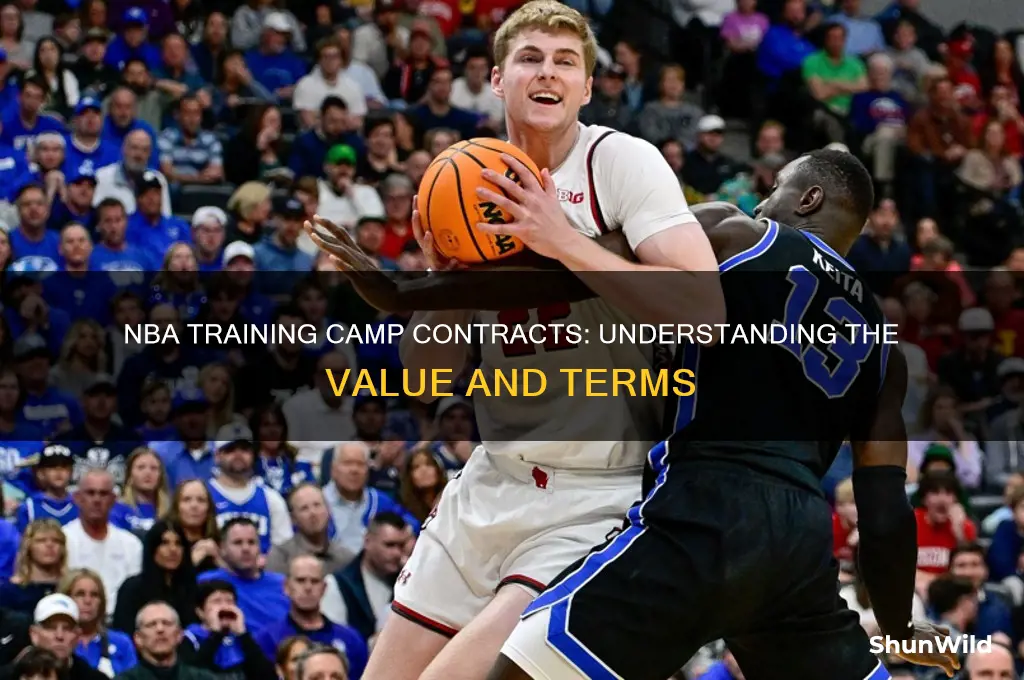how much are nba training camp contracts