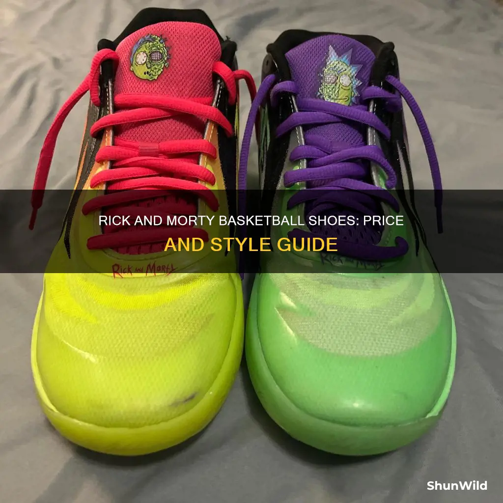 how much are rick and morty basketball shoes