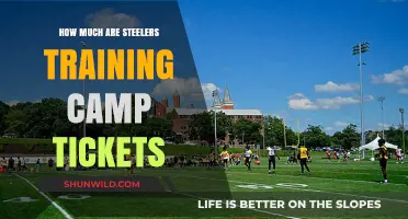 Steelers Training Camp Tickets: Prices, Availability, and Purchase Guide