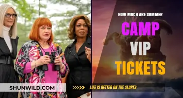 Summer Camp VIP Tickets: Pricing, Perks, and Exclusive Access Revealed