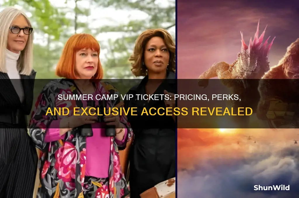how much are summer camp vip tickets