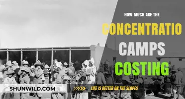 The Hidden Costs of Concentration Camps: A Financial Analysis