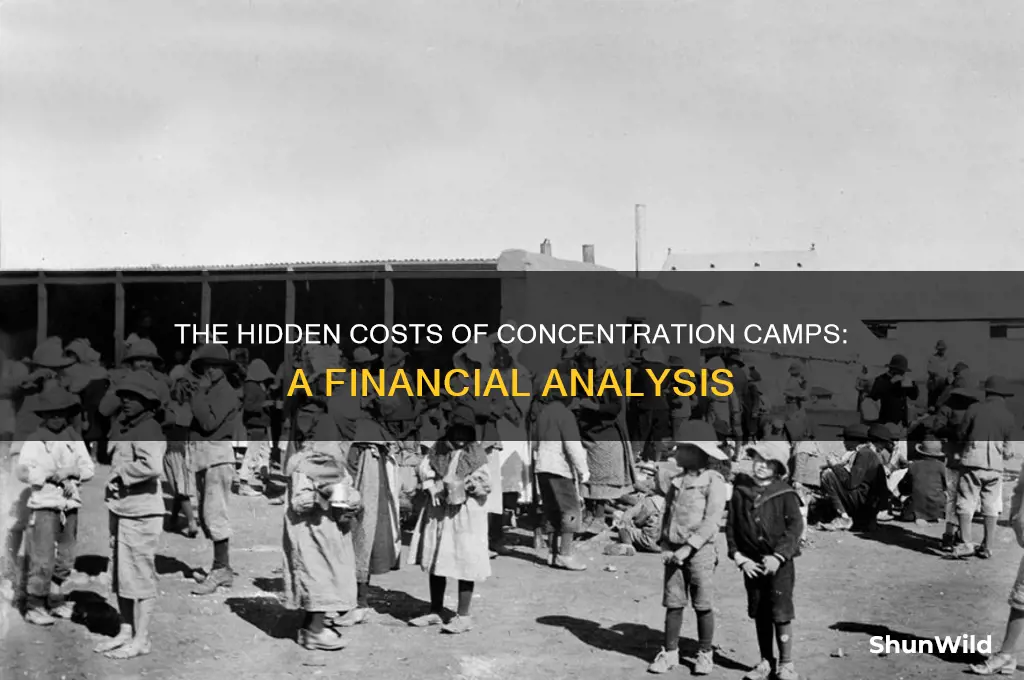 how much are the concentration camps costing