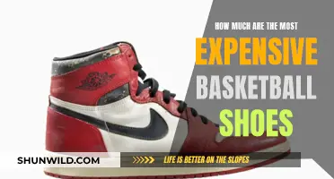 Expensive Basketball Shoes: How High Can Prices Go?