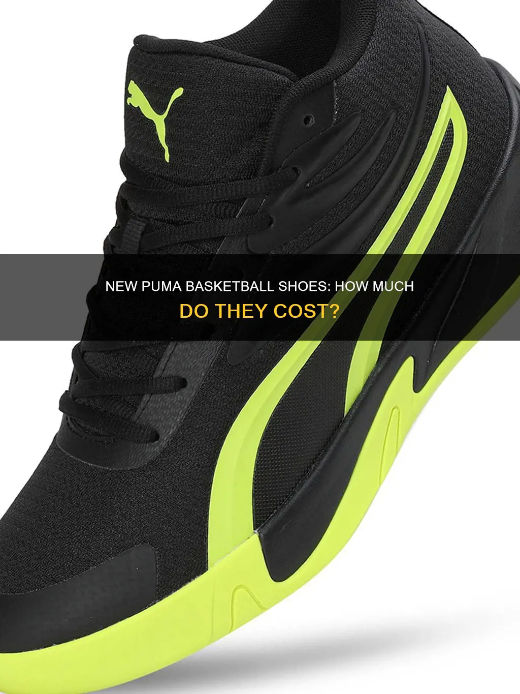 how much are the new puma basketball shoes