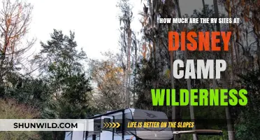 Disney's Camp Wilderness RV Site Costs: What to Expect