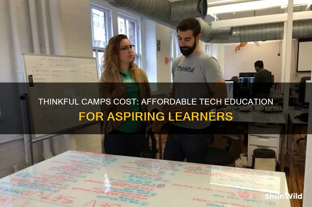 how much are thinkful camps