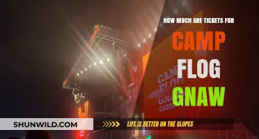 Camp Flog Gnaw Ticket Prices: What to Expect This Year