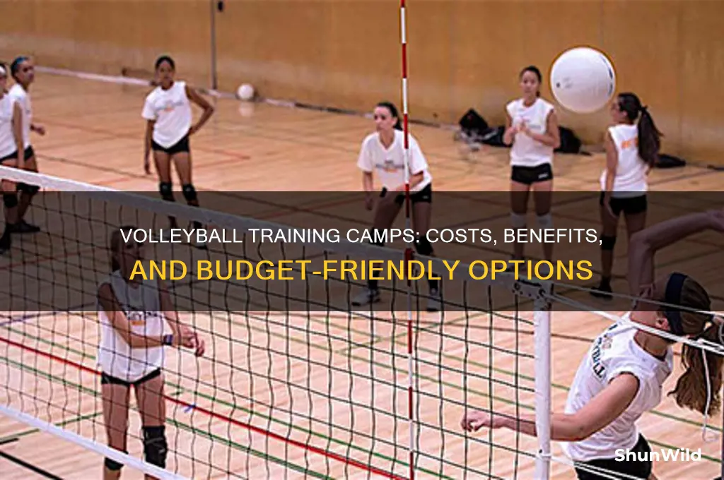 how much are volleyball traning camps