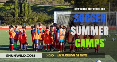 Affordable Week-Long Soccer Summer Camps: Costs and Budget Tips