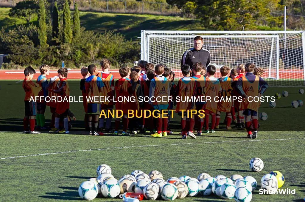 how much are week long soccer summer camps