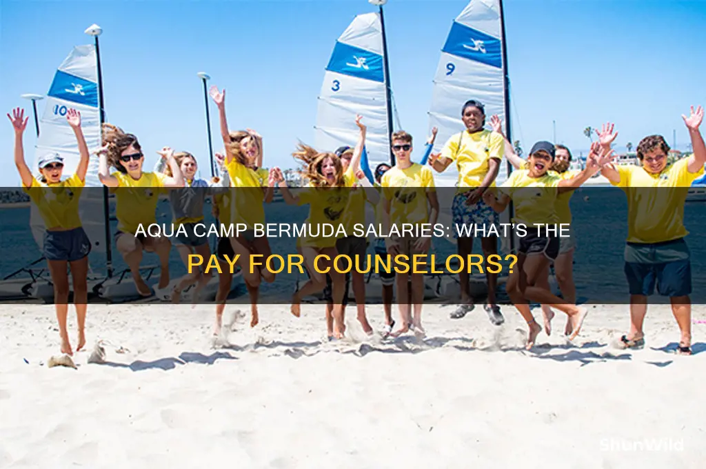 how much are you payed for aqua camp bermuda