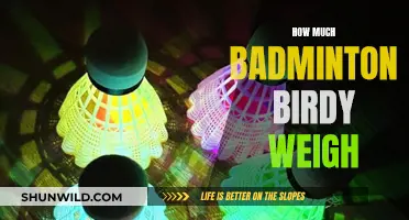 The Intriguing Weight of a Badminton Birdie