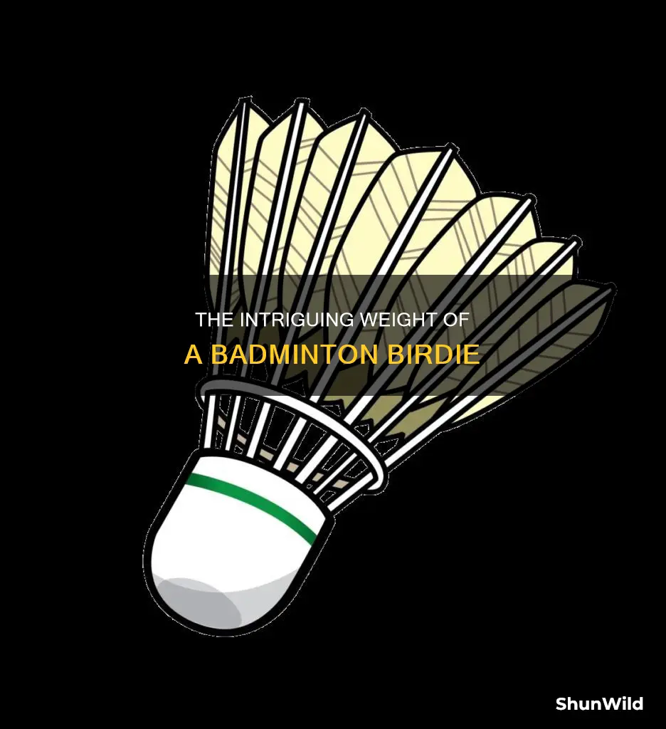 how much badminton birdy weigh