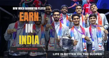 Earnings of Badminton Players in India