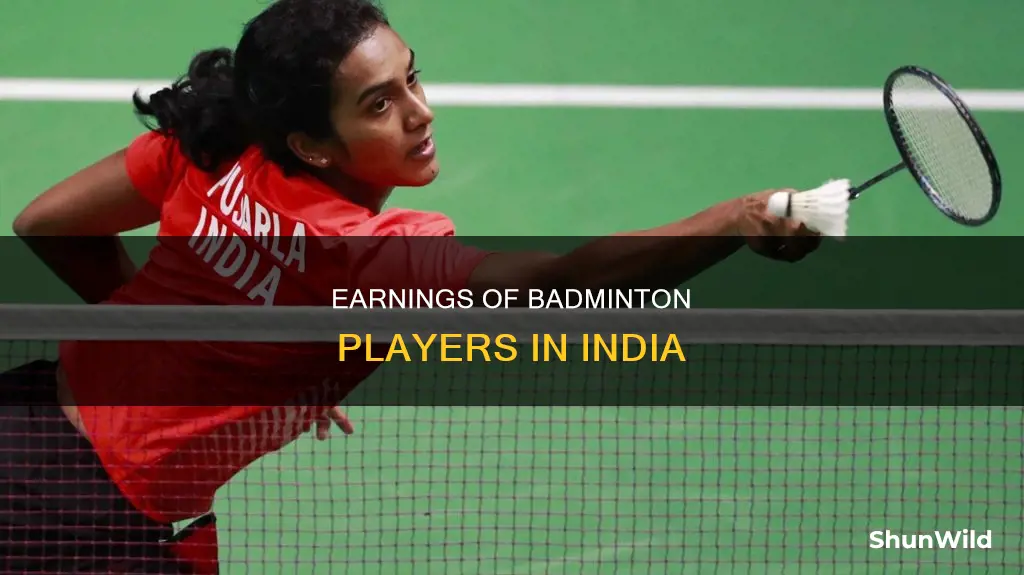 how much badminton player earn in india