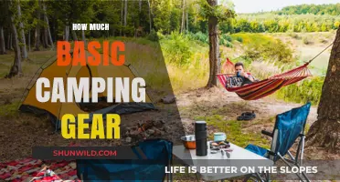 Essential Camping Gear: Budget-Friendly Basics for Outdoor Adventures