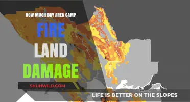 Bay Area Camp Fire Land Damage: Assessing the Devastation and Recovery