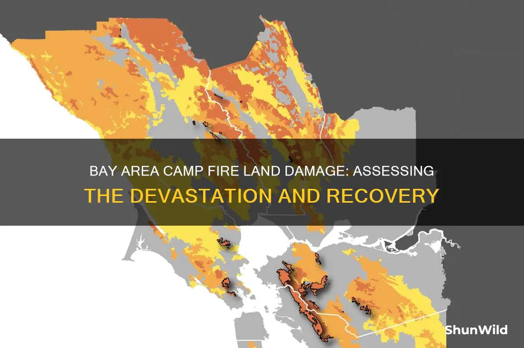 how much bay area camp fire land damage