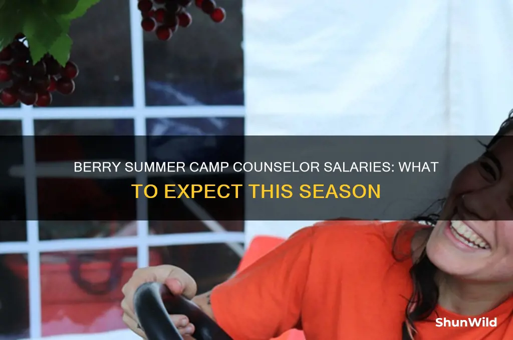 how much berry summer camp pays to counsellors