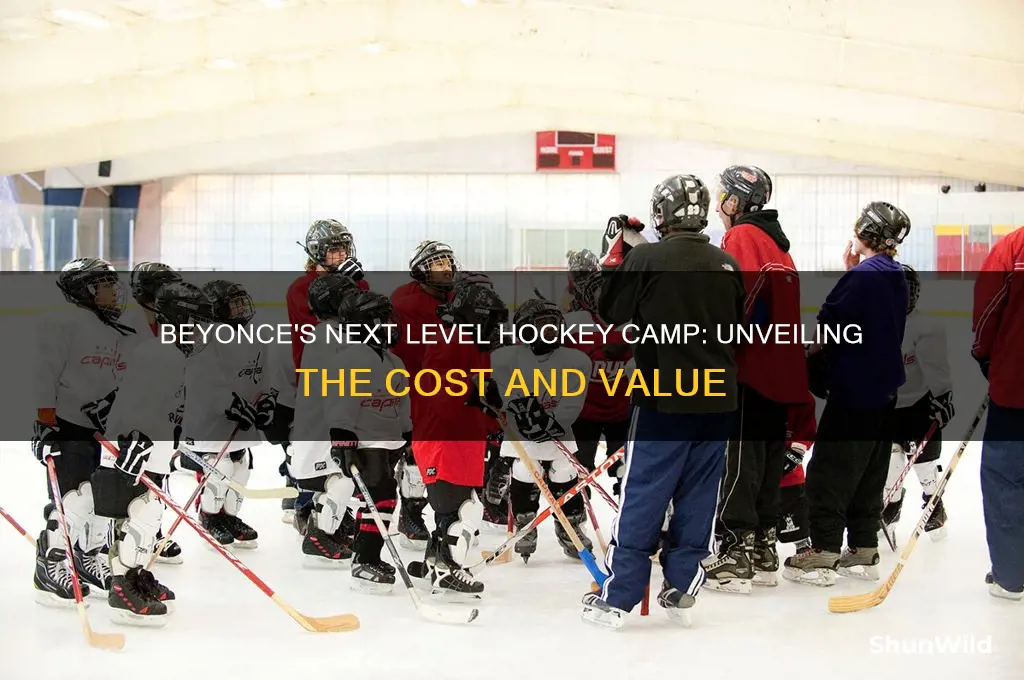 how much beyonce the next level hockey camp cost