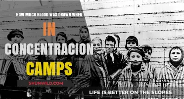 Blood Extraction in Concentration Camps: A Chilling Historical Analysis