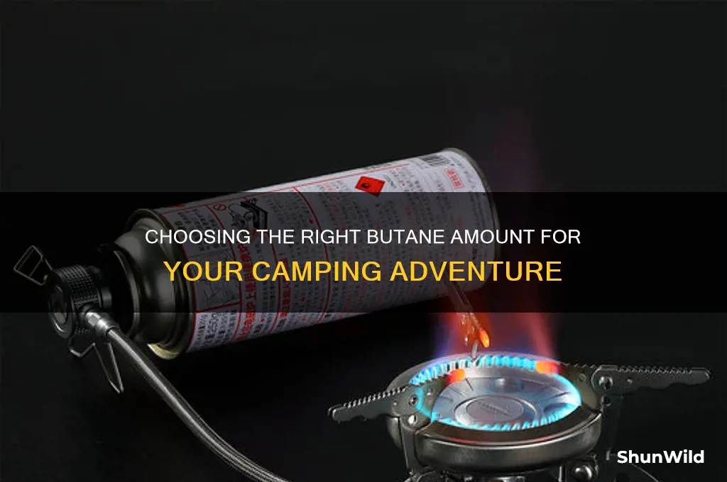how much butane for camping