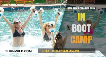 Calories Burned in Boot Camp: Unlocking Your Fitness Potential