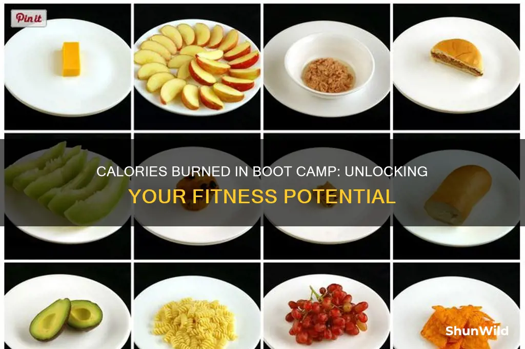 how much calories burn in boot camp