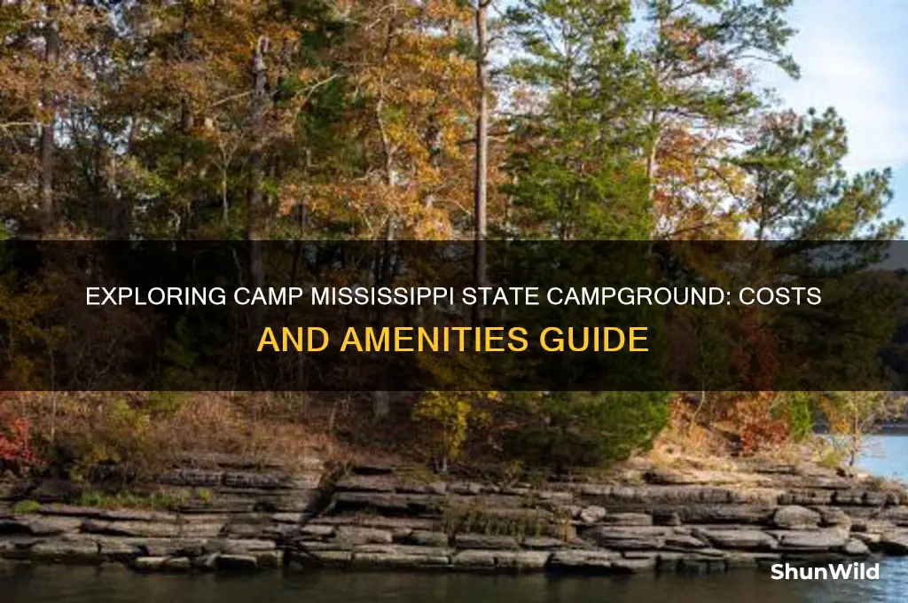 how much camp mississippi state campground