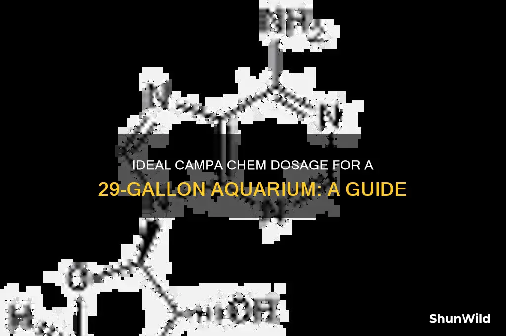 how much campa chem for a 29 gallon tank