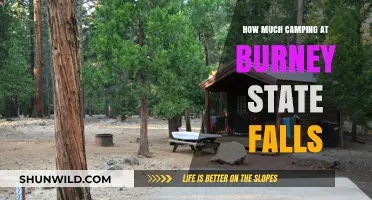 Camping at Burney Falls State Park: Costs and Tips