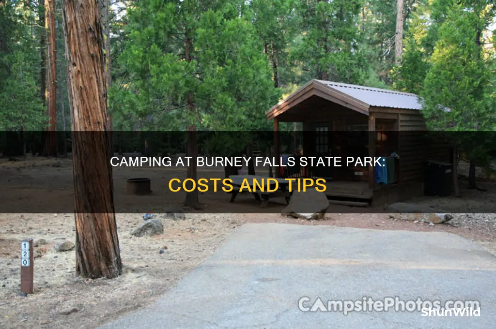 how much camping at burney state falls