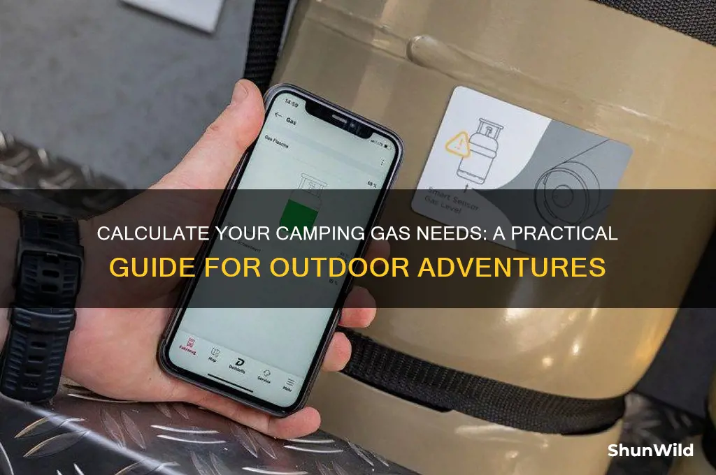 how much camping gas do i need