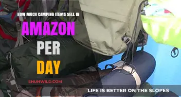 Daily Amazon Sales: Camping Gear Demand and Revenue Insights