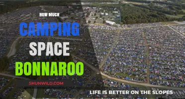 Bonnaroo Camping Space Guide: How Much Room Do You Need?